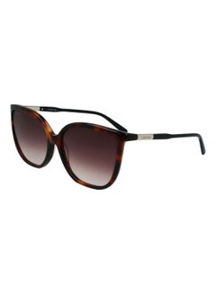 Buy Women's Full Rim ZYL Butterfly Sunglasses  L963S-230-5916 in Saudi Arabia