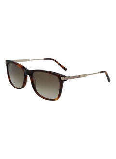 Buy Men's Full Rim ZYL Modified Rectangle Sunglasses  L960S-230-5618 in UAE