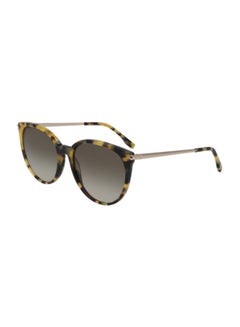 Buy Women's Full-Rim Oval Shape Sunglasses - Lens Size: 56 mm in UAE