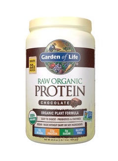 Buy Raw Organic Protein Chocolate Powder- 700 G in UAE