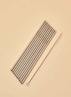 اشتري 10-Piece Stainless Steel Straw With Cleaning Brush Silver في السعودية
