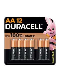 Buy Superior Nylon Top Closure Type AA Alkaline Batteries 12 Pieces in UAE