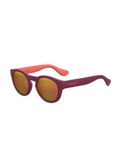 Buy Oval Sunglasses 223842C4249UW in UAE