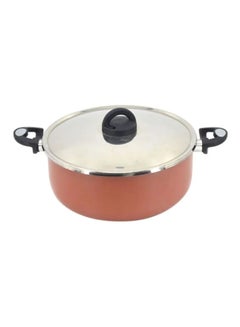 Buy Stew Pot With Lid Brown/Silver/Black 30centimeter in Saudi Arabia