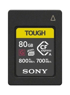 Buy 80GB CFexpress Type A TOUGH Memory Card 80.0 GB in UAE