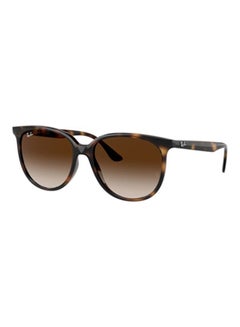 Buy Women's Square Sunglasses - 4378 - Lens Size: 54 Mm in Saudi Arabia