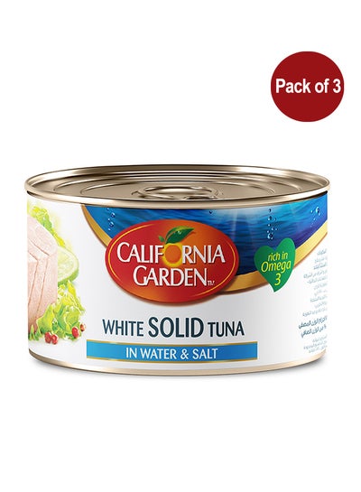 Buy White Solid Tuna In Water And Salt 170grams Pack of 3 in UAE