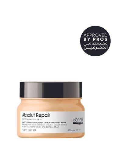 Buy Absolut Repair Mask 250.0ml in Egypt