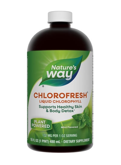 Buy Chlorofresh Liquid Chlorophyll Mint 16 Fl. Oz in Saudi Arabia