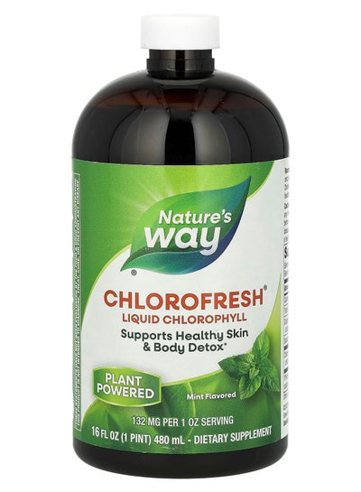 Buy Chlorofresh Liquid Chlorophyll Supplement Mint Flavor  132 Mg 16 Fl Oz 480 Ml in UAE