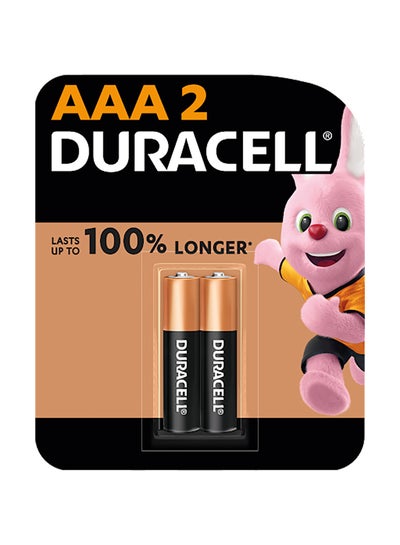 Buy Type AAA Alkaline Batteries 2 Pieces Multicolour in Saudi Arabia