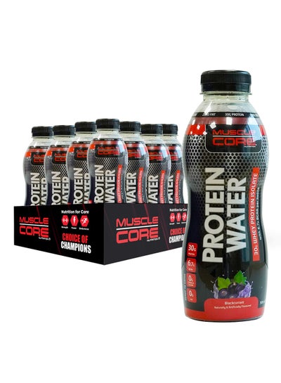 Buy Nutrition Protein Water Black Currant 30 Gram Whey Protein Isolate with 6.7g BCAA - 12x500 ml in UAE