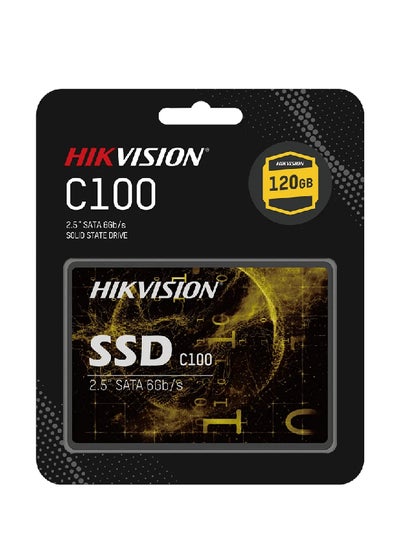 Buy C100 SSD 120 GB in Egypt