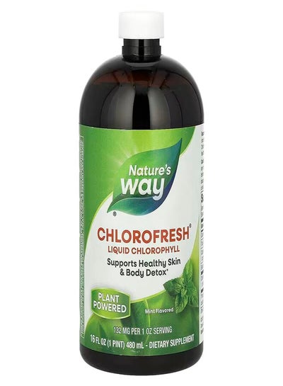 Buy Chlorofresh Liquid Chlorophyll Healthy Skin And Body Detox Mint Flavor 16 Fl Oz in UAE