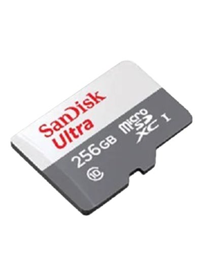 Buy 256GB Ultra Microsdxc Uhs 1 Card 100Mb/S Grey -Sdsqunr-256G-Gn3Mn, Grey 256 GB in Egypt