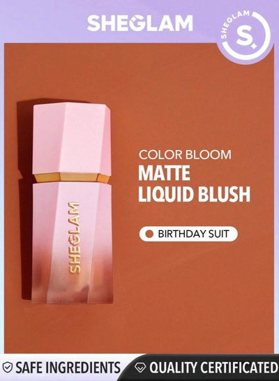 Buy Color Liquid Blush 5.2ml Birthday Suit in Egypt