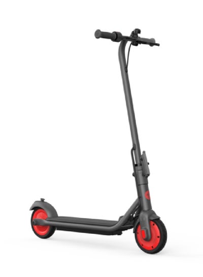 Buy eKick Scooter Zing C20 in UAE