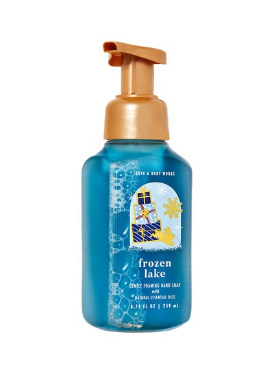 Buy Frozen Lake Gentle Foaming Hand Soap 259ml in UAE