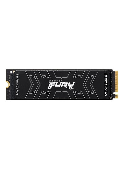 اشتري Fury Renegade 4TB Internal Gaming SSD, PCIe Gen 4.0 NVMe, M.2 2280, Up to 7300 MB/s, 7000MB/s Write, TLC Nand,DoubleSided 4 TB في الامارات
