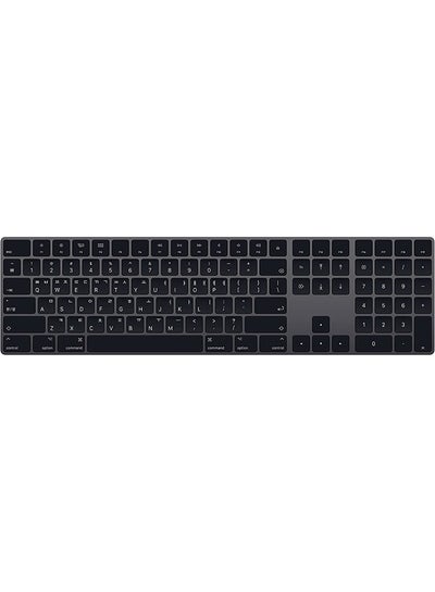 Buy Magic Keyboard with Numeric Keypad (Korean) Space Gray in UAE