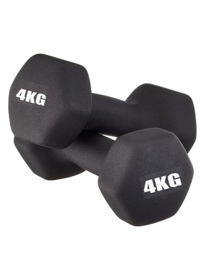 Buy Dumbbells Weights Exercise-2pcs 24cm in Egypt