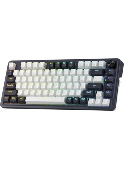 Buy K673 PRO 75% Wireless Gasket RGB Gaming Keyboard in Saudi Arabia