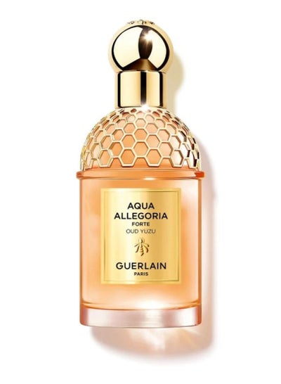 Buy Aqua Allegoria Oud Yuzu Forte EDP 125ml in UAE