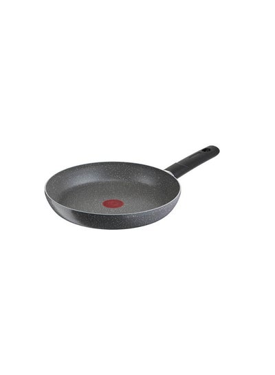 Buy Tefal Cook Natural Frypan With Handle Size 24 cm Grey 220900103 Grey 24cm in Egypt