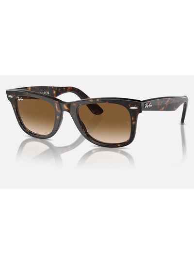 Buy Unisex Square Shape Acetate Sunglasses RB2140 902/51 50 - Lens Size: 50 Mm - Polished Tortoise in UAE