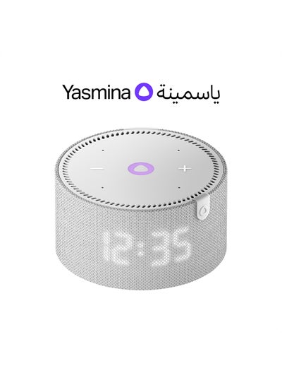 Buy AI Smart speaker Mini Grey in UAE