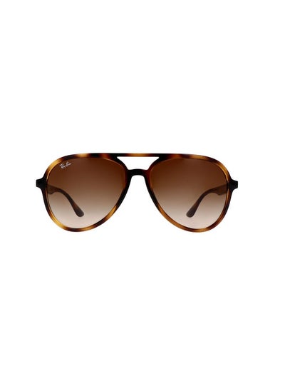 اشتري Men's Full Rim Pilot Sunglasses 0RB4376 57 710/13 في مصر