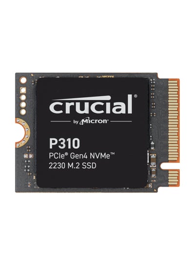 Buy P310 1TB PCIe Gen4 NVMe 2230 M.2 SSD 1 TB in UAE