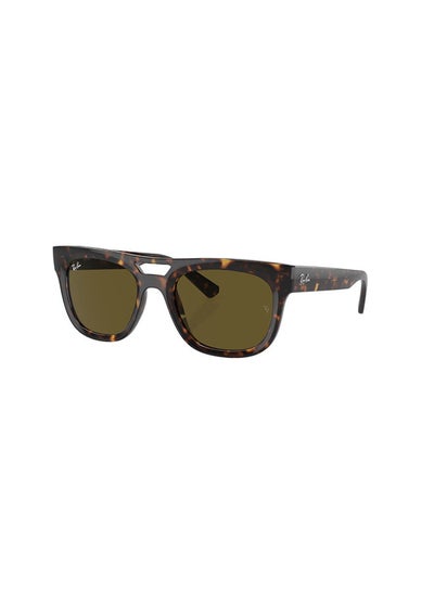 Buy Full-Rimmed Square Sunglasses 4426,54,1359,73 in Egypt