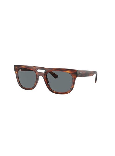 Buy Full-Rimmed Square Sunglasses 4426,54,1398,80 in Egypt