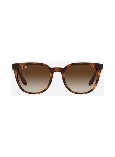 اشتري Full Rim Wayfarer Sunglasses 4381I, 53, 710, 13 في مصر