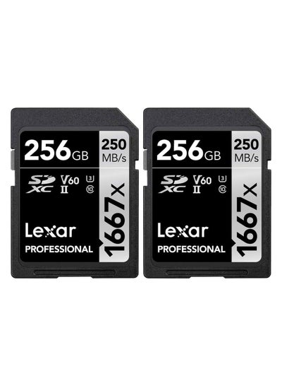 Buy Lexar Professional SDHC/SDXC 1667x UHS-II 256gb Memory Card 2 Pack (LSD256CBNA1667) 256 GB in Egypt