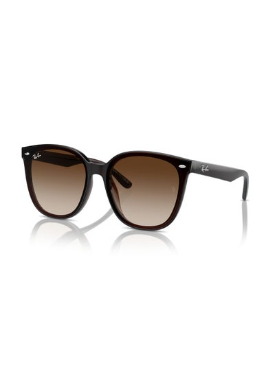 Buy Unisex Sunglasses 4423D - 66 Mm - Transparent Brown in Saudi Arabia