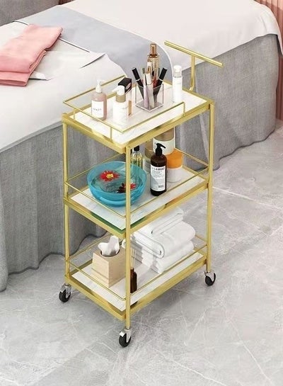Buy Multifunction Special Trolley for High Grade Beauty Saloon Tool Car Hairdressing Embroidery Cosmetics and Home Office Storage Rack 45 x 28 x 75 cm in UAE