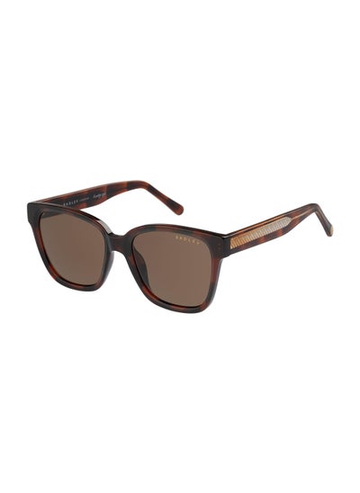 Buy RDS-6521 Women Square Polarized Sunglasses Brown 53 mm in UAE