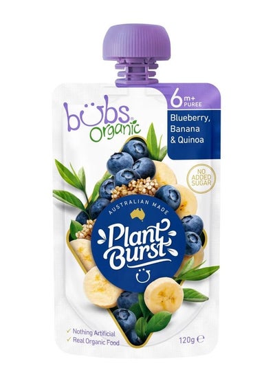 Buy Plant Burst Blueberry Banana And Quinoa Pouch 120g in UAE