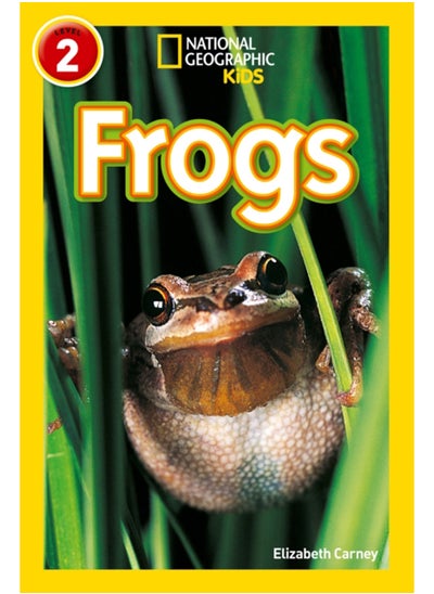 Buy Frogs : Level 2 in Saudi Arabia