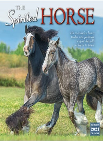 Buy The Spirited Horse in UAE