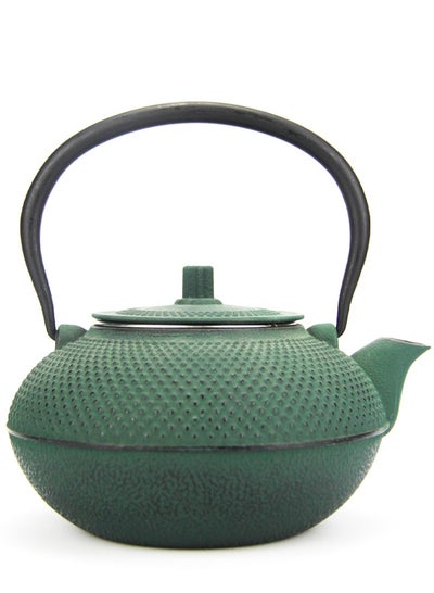 Buy Durable Coated with Enamel Interior Cast Iron Teapot with Stainless Steel Infuser for Brewing Loose Tea Leaf 1.4 Dark Green in UAE