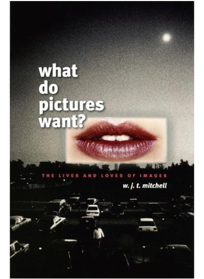 اشتري What Do Pictures Want? : The Lives and Loves of Images في الامارات