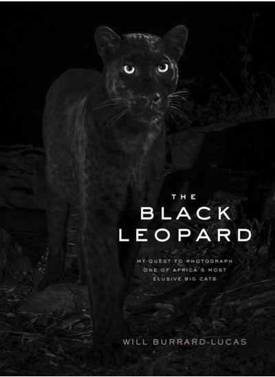 Buy The Black Leopard : My Quest to Photograph One of Africa's Most Elusive Big Cats in UAE