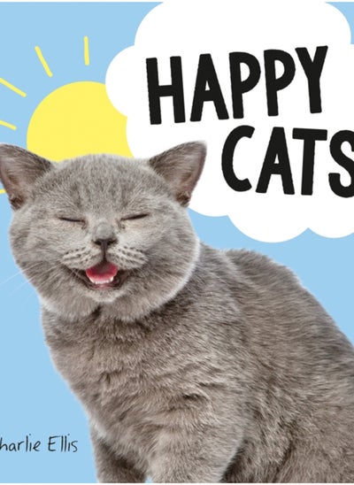 Buy Happy Cats : Photos of Felines Feeling Fab in Saudi Arabia