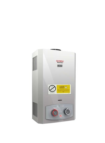 Buy Gas water heater 10 liters digital screen with chimney with adapter 2 knobs  Natural gas only silver 945105583 in Egypt