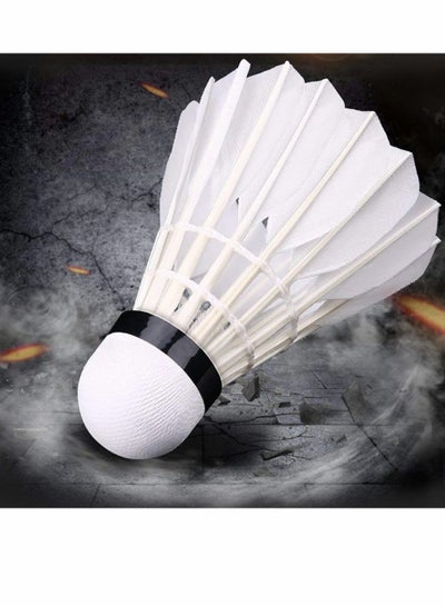 Buy Badminton, Birdies Balls Advanced Goose Feather Badminton Shuttlecocks with Great Stability and Durability Nylon Shuttlecocks for Indoor Outdoor Sports Hight Speed Training, 12-Pack in UAE