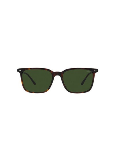 Buy Full Rim Square Sunglasses 4194U-56-5003-71 in Egypt