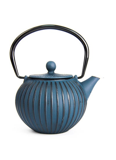 اشتري Durable Cast Iron Teapot With Infuser for Loose Tea Coated with Enameled Interior (0.5L) Blue&Black في الامارات